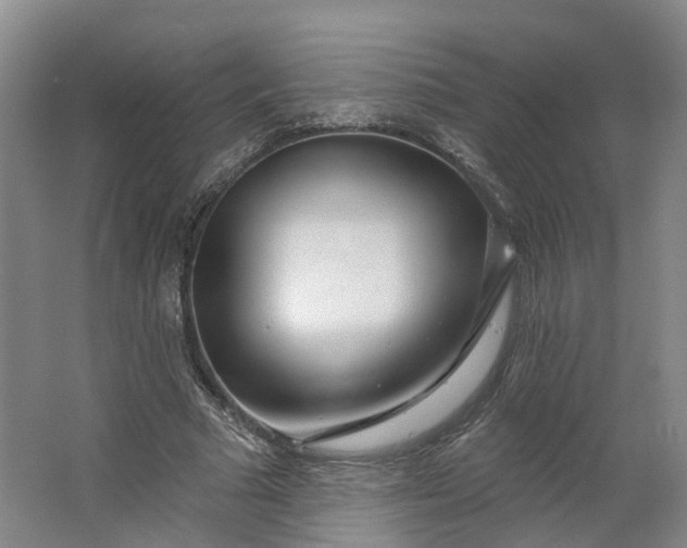 X0000062860681200601271530