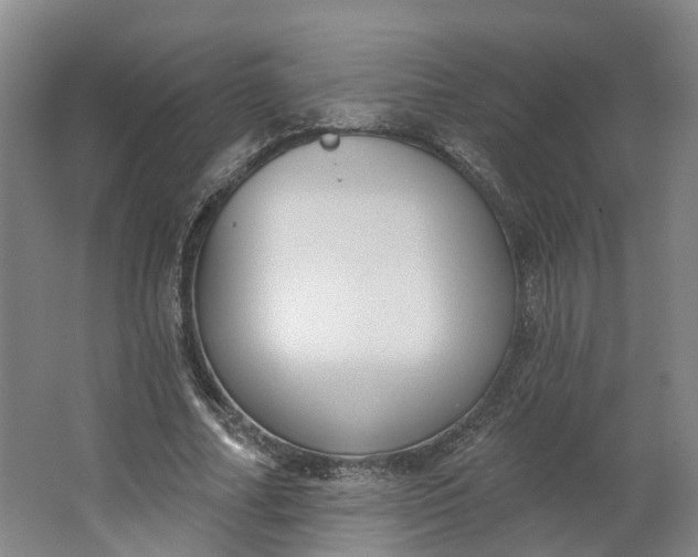 X0000062860682200601271530