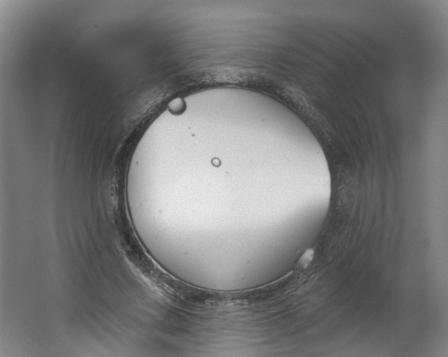 X0000062860683200601271530