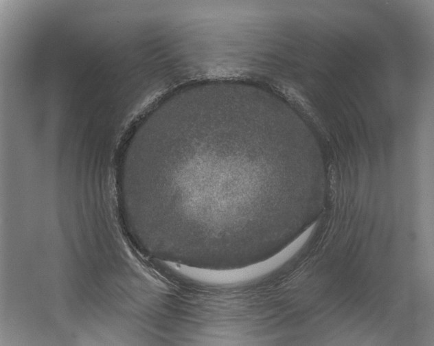 X0000062860684200601271530