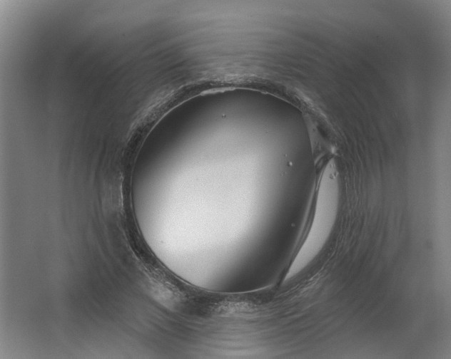 X0000062860685200601271530