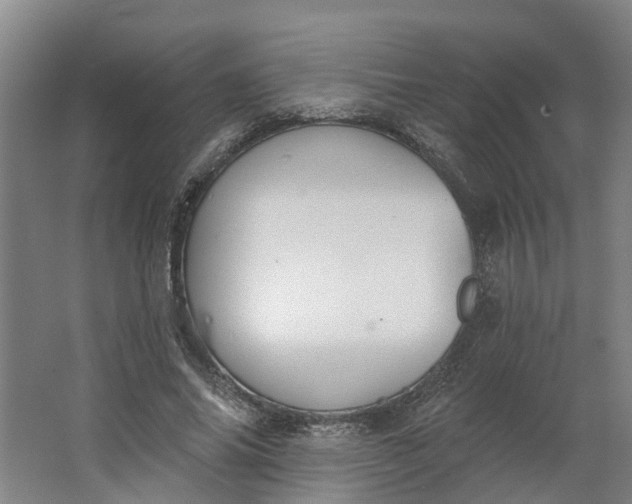 X0000062860686200601271530