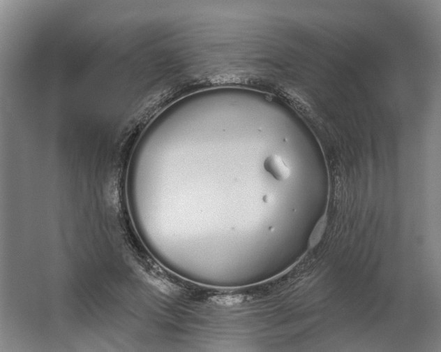 X0000062860687200601271530