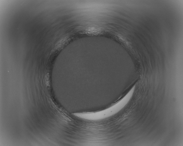 X0000062860689200601271530