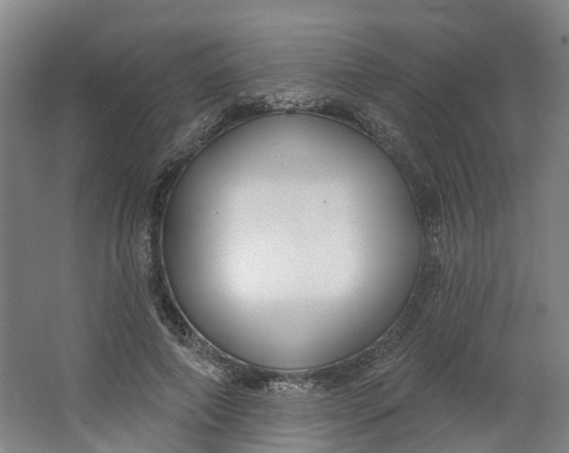 X0000062860690200601271530