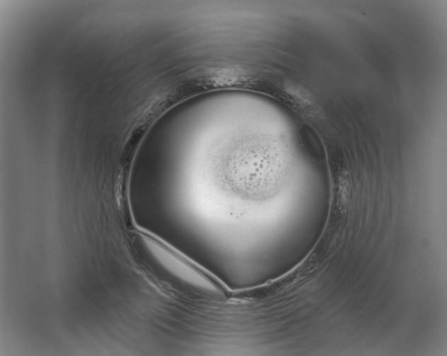 X0000062860691200601271530