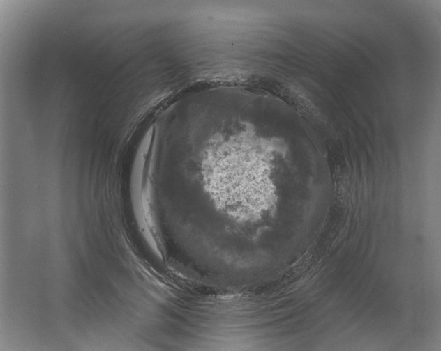 X0000062860692200601271530