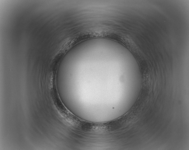 X0000062860694200601271530