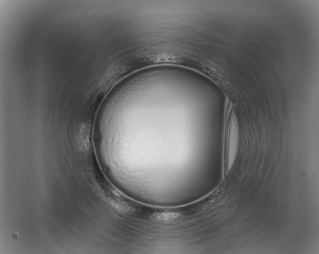 X0000062860695200601271530