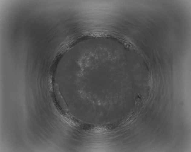 X0000062860696200601271530