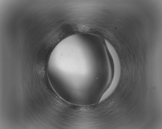 X0000062860697200601271530