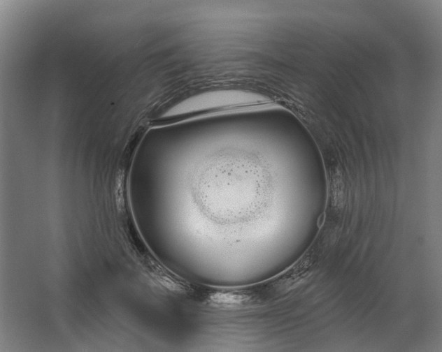 X0000062860699200601271530