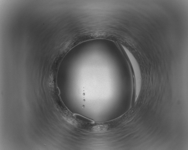 X0000062860700200601271530