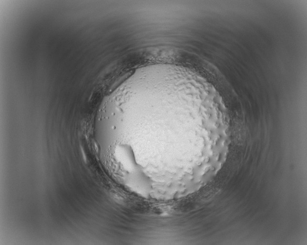 X0000062860701200601271530