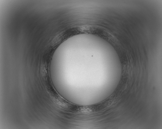 X0000062860702200601271530