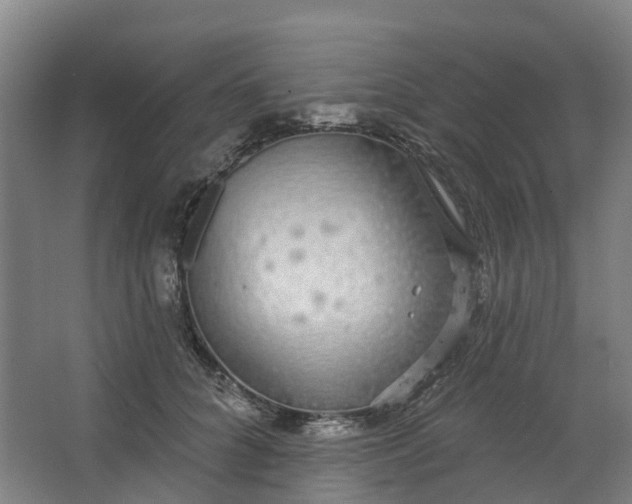 X0000062860704200601271530