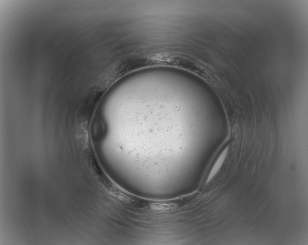 X0000062860707200601271530