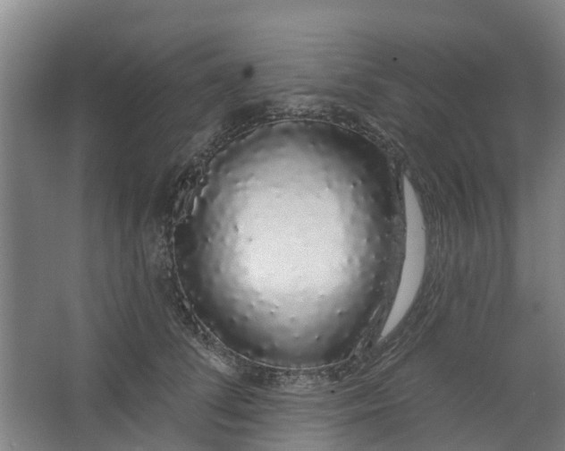 X0000062860708200601271530