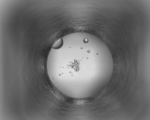 X0000062860710200601271530