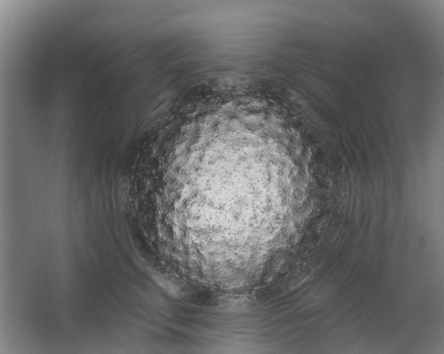 X0000062860711200601271530