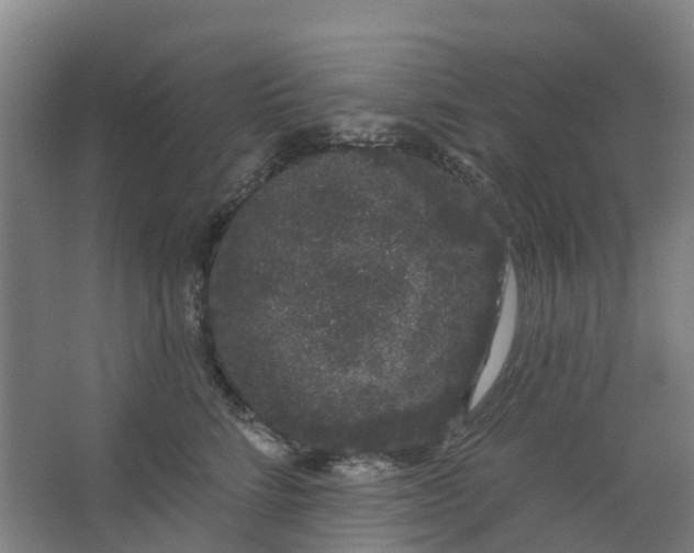 X0000062860712200601271530