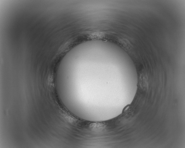 X0000062860714200601271530