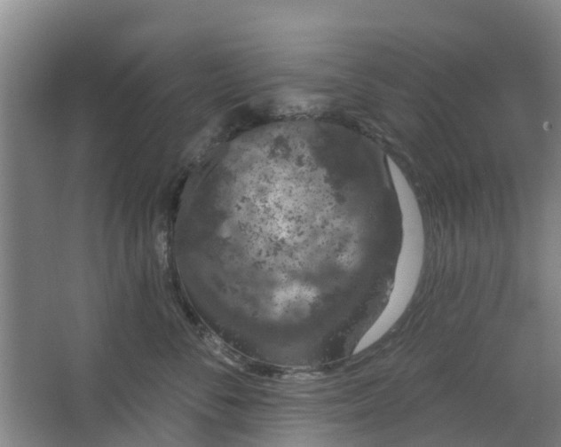 X0000062860716200601271530