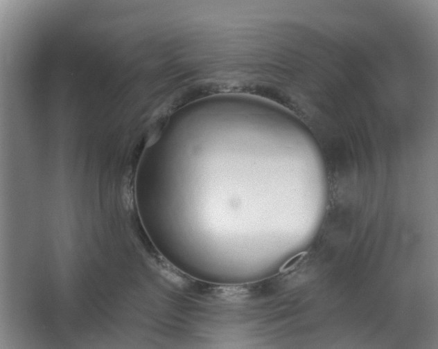 X0000062860719200601271530