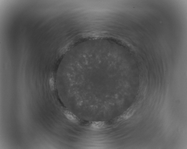 X0000062860720200601271530