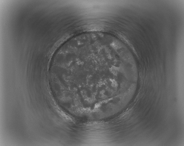 X0000062860721200601271529