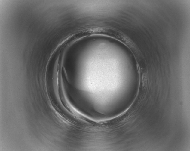 X0000062860722200601271529