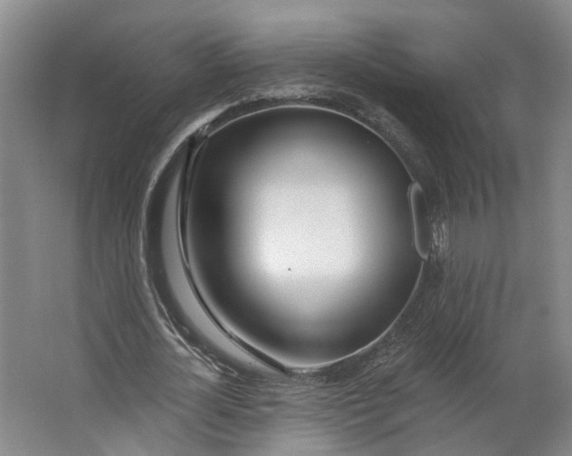 X0000062860724200601271529