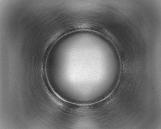 X0000062860725200601271529