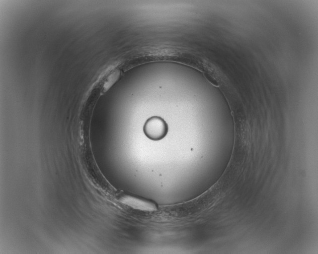 X0000062860731200601271529