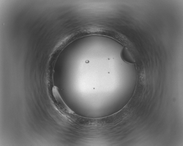 X0000062860732200601271529