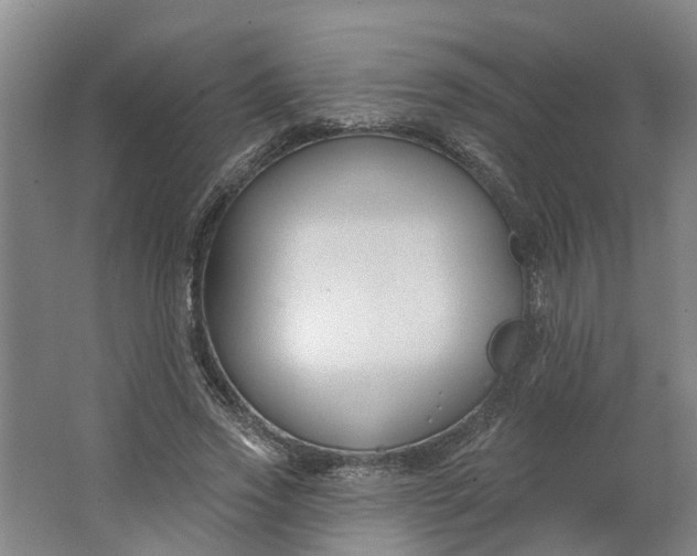 X0000062860733200601271529