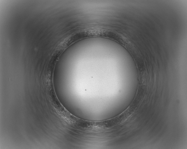 X0000062860737200601271529