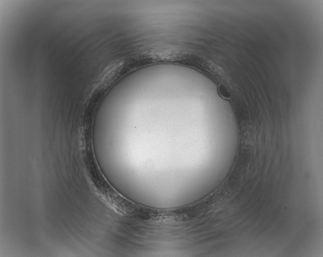 X0000062860738200601271529