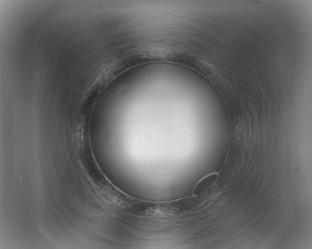 X0000062860739200601271529