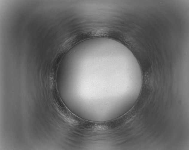 X0000062860741200601271529