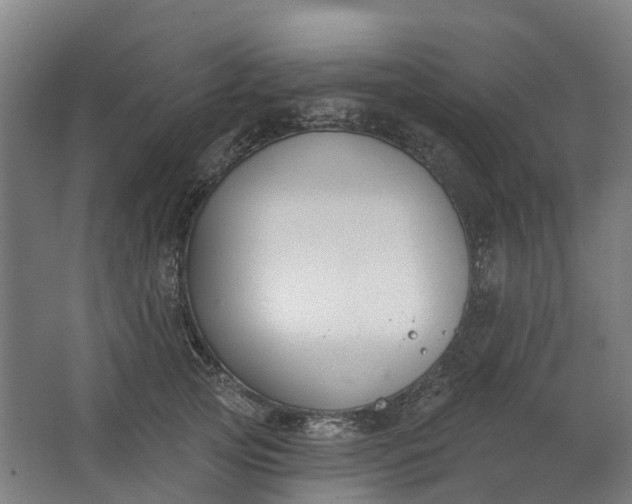 X0000062860753200601271530