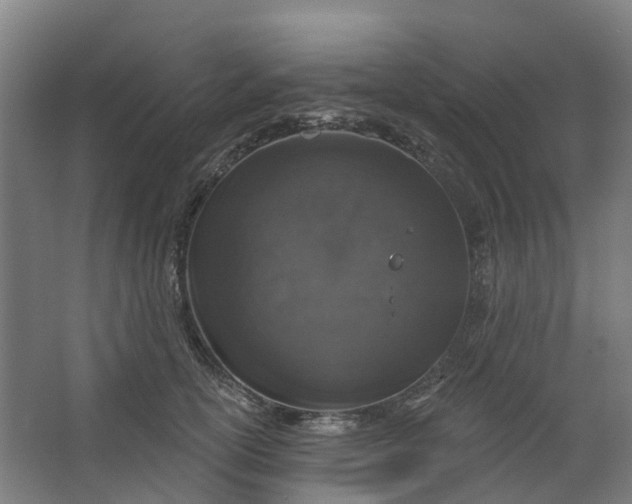 X0000062860754200601271530