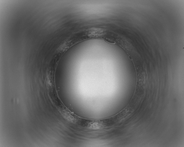 X0000062860755200601271530