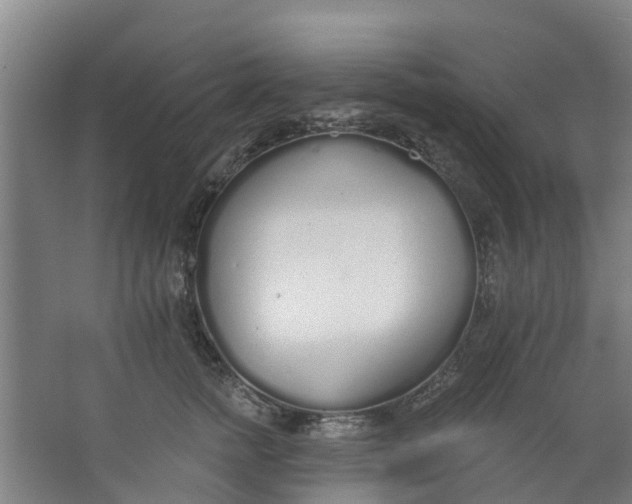 X0000062860758200601271530