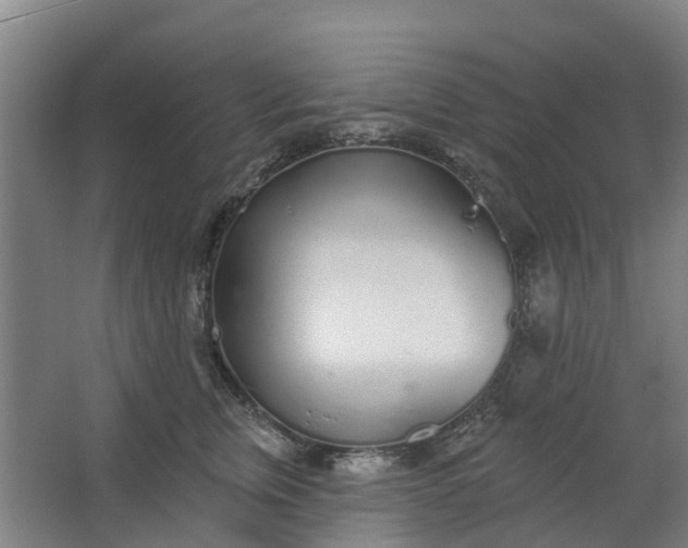 X0000062860759200601271530