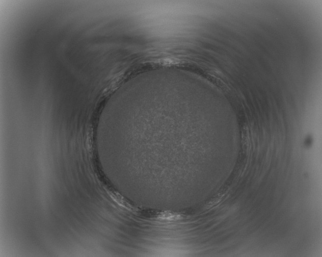 X0000062860760200601271530