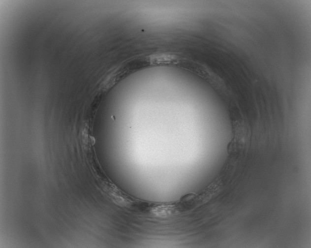 X0000062860761200601271530