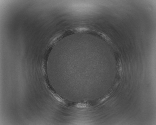 X0000062860762200601271530