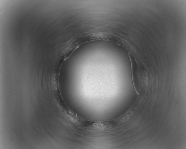 X0000062860764200601271530