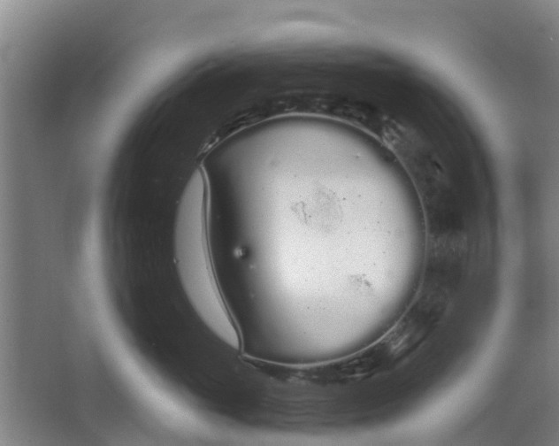 X0000062860765200601271530